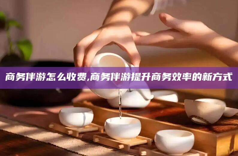 垦利商务伴游怎么收费,商务伴游提升商务效率的新方式